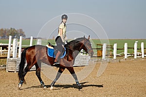 Young horsewoman riding on brown horse in paddok outdoors, copy space.