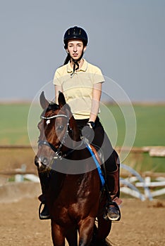 Young horsewoman riding on brown horse in paddok outdoors, copy space.