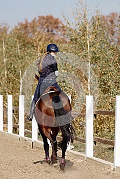 Young horsewoman riding on brown horse in paddok outdoors, copy space.