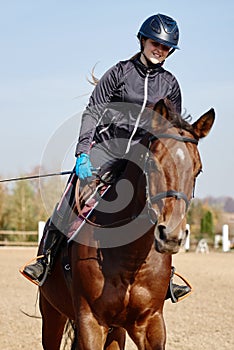 Young horsewoman riding on brown horse in paddok outdoors, copy space.