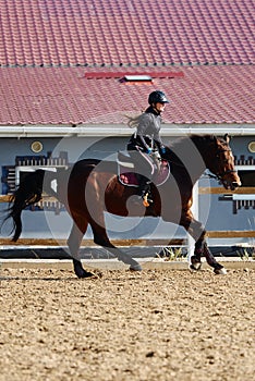 Young horsewoman riding on brown horse in paddok outdoors, copy space.