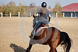 Young horsewoman riding on brown horse in paddok outdoors, copy space.