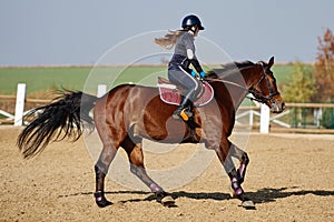 Young horsewoman riding on brown horse in paddok outdoors, copy space.