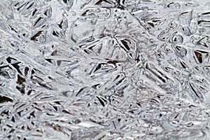 Young ice consisting of a smooth interweaving of large crystals