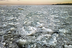 Young ice nilas at freshwater Bay of Baltic