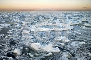 Young ice nilas at freshwater Bay of Baltic