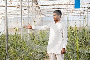 Young indian farmer touch plant standing at his poly house or greenhouse, agriculture business and rural prosperity concept. man