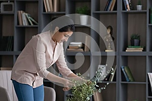 Young Indian woman take care of green house plant