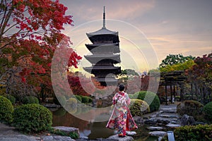 Young Japanese girl traveller in traditional kimino dress standing in Toji temple with wooden pagoda and red maple leaf in autumn