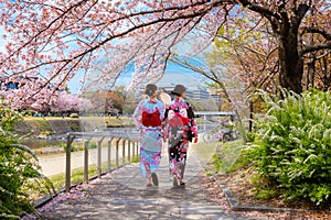 Young Japanese girls in traditional Yukata dress strolls by Kamogawa river Kyoto during full bloom cherry blossom