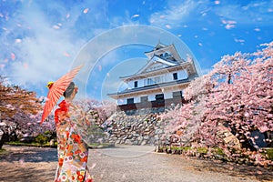 Young Japanese woman in Traditional Kimono Dress at Nagahama Castle in Shiga Prefecture during full bloom cherry blossom