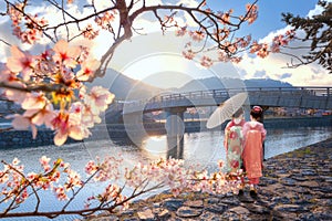 Young Japanese woman in a traditional Kimono dress stroll by Prefectural Uji Park during full bloom cherry blossom in Kyoto, Japan