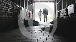 Young jockey is walking with a horse out of a stable. Man leading horse out of stable. Male silhouette with stallion