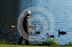 Young kid feeding ducks