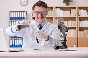 The young lab assistan working in the laboratory