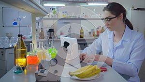 Young lab technician working in laboratory.