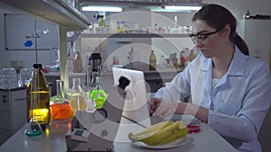 Young lab technician working in laboratory.