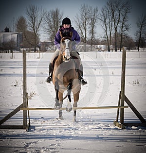 Giovane signora saltando suo un cavallo inverno 