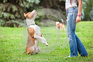 Young lady playing with dog outdoors.