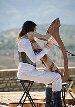 Young Lady Playing a Harp