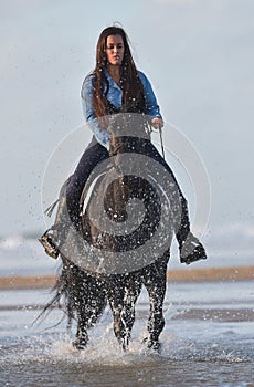 Young lady riding a horse at beach in early morning