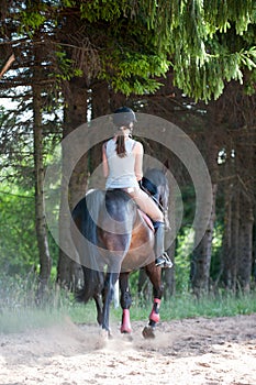 Young lady riding a horse in forest. Training process