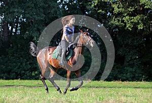 Young lady riding on warmblood horse