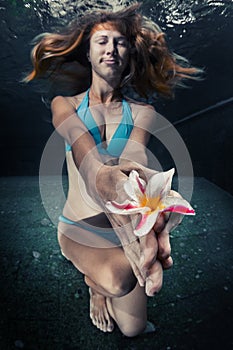 Young lady swimming underwater