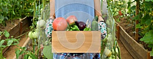 Young lady with a vegetable in a greenhouse