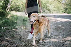 Young lady walking dog, low section