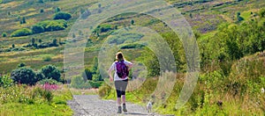 Young woman and her dog in the west Pennines. photo