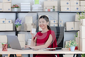 Young lady working at home office