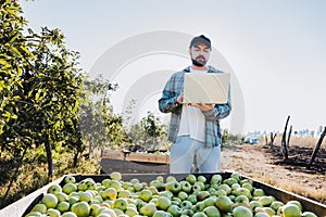 Young latin farmer man teleworking on his laptop beside an apple bin