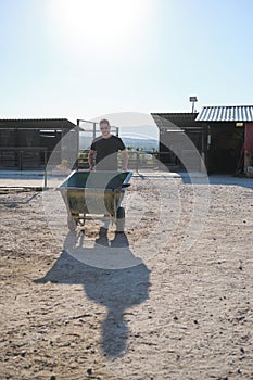 Young latin man carrying a wheelbarrow to pick up horse excrements in stall.