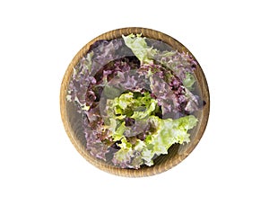 Young lettuce leaves in wooden bowl. Top view. Lettuce isolated on a white background.