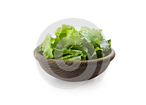 Young lettuce leaves in wooden bowl. Top view. Lettuce isolated on a white background. Green lettuce with copy space for text.