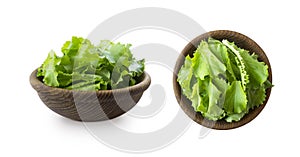 Young lettuce leaves in wooden bowl. Top view. Lettuce isolated on a white background. Green lettuce with copy space for text. let