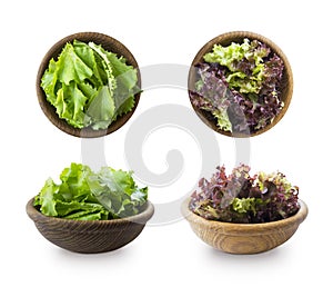 Young lettuce leaves in wooden bowl. Top view. Lettuce isolated on a white background. Green and red lettuce with copy space for t