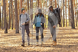 Young lifefull people with backpacks walking by forest