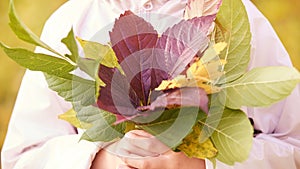 Young little girl hold fall leaves in hands. Red, gree and yellow leaf. Autumn nature outdoor city