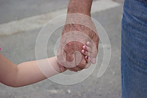 Young little girl holding hand