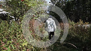 Young lonely man walking deep into forest among dense vegetation and bushes. Footage. View of man from back walking on