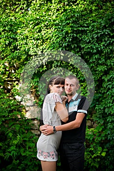 Young lovebirds in nature