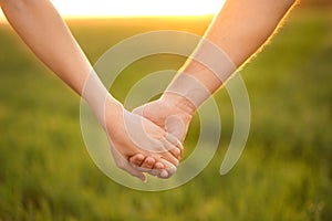 Young lovely couple holding hands in green field