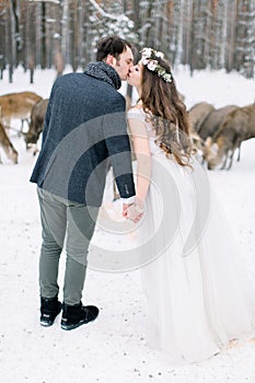 Young loving beautiful wedding couple kissing and holding hands, outdoor in winter in a stylish wedding clothes. Deer on