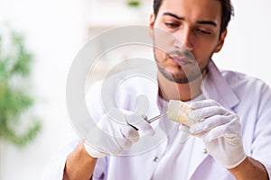 Young male archaeologist working in the lab