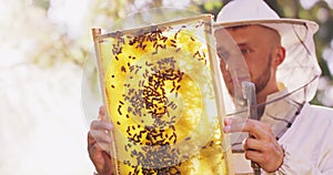 Young male bearded beekeeper in white protective suit, with a bee hive tool in hand, holds up and inspects a beehive