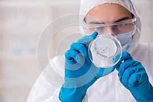 Young male chemist working in the lab