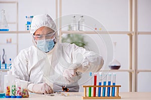 Young male chemist zoologist working at the lab during pandemic
