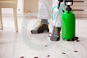 Young male contractor doing pest control at home